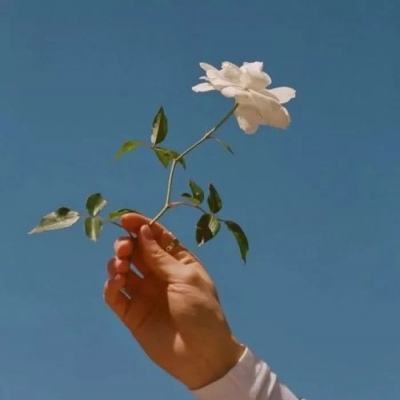热血挂机王手游下载